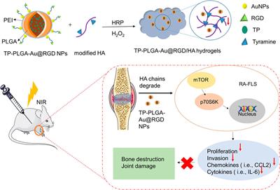 Hyaluronic Acid Hydrogels Hybridized With Au-Triptolide Nanoparticles for Intraarticular Targeted Multi-Therapy of Rheumatoid Arthritis